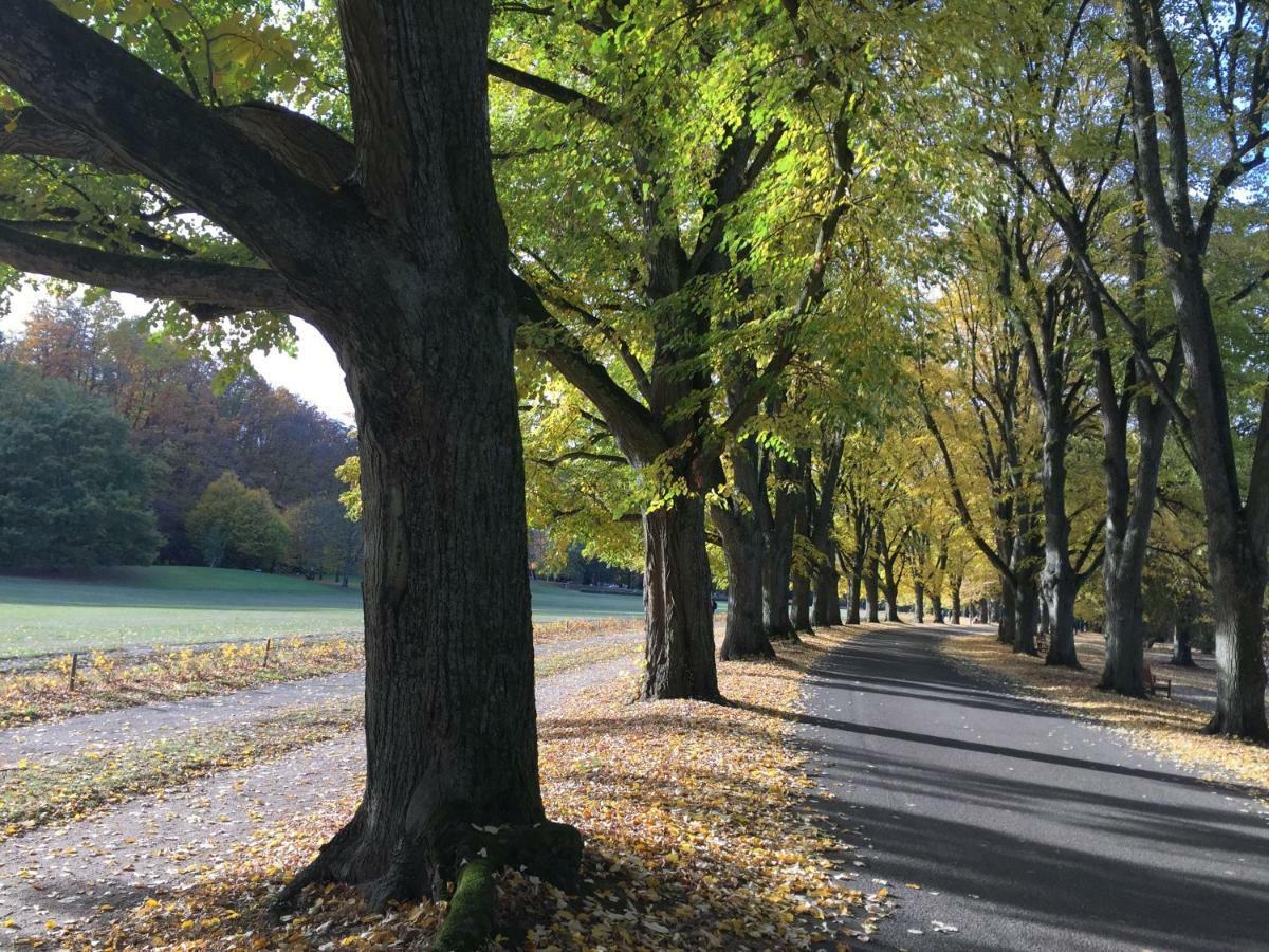 Suite Mit Blick Auf Die Lichtentaler Allee Баден-Баден Экстерьер фото